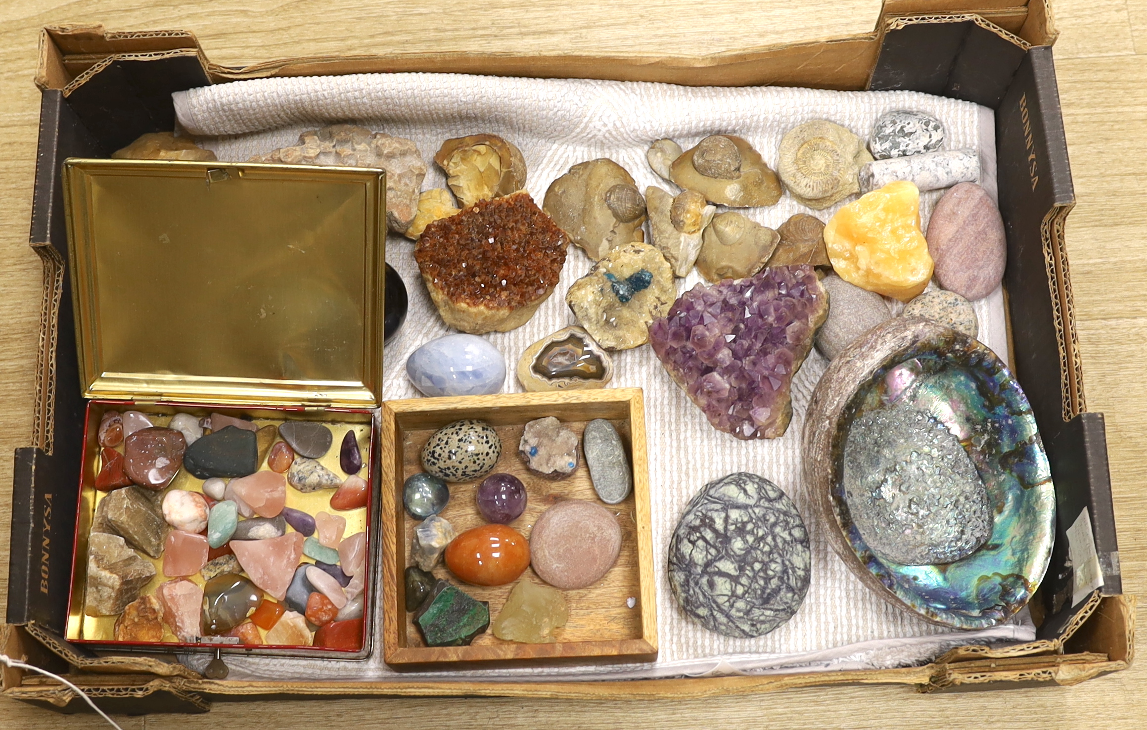 A collection of minerals, gemstones and fossils including quartz samples, ammonites, etc.